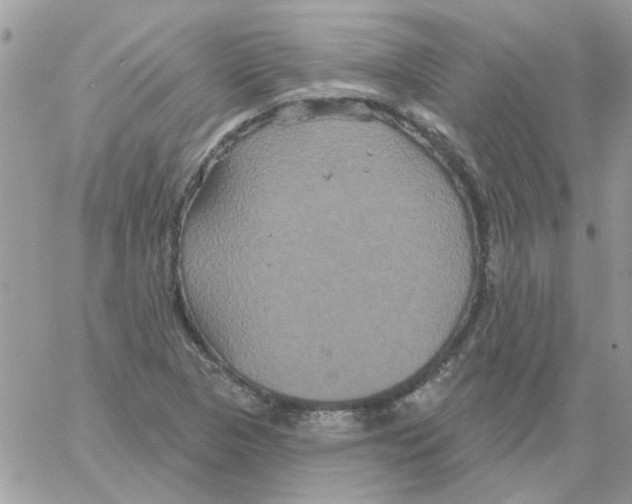 X0000061751313200512302227