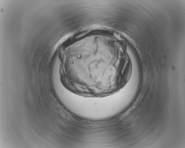 X0000061751314200512302227