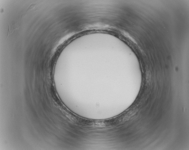 X0000061751315200512302227