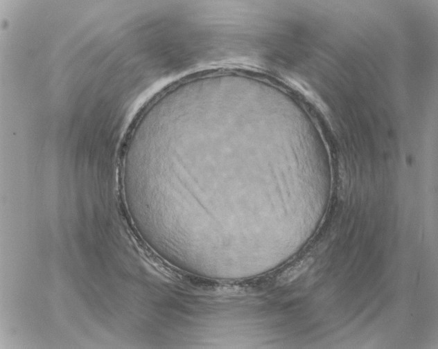 X0000061751316200512302227