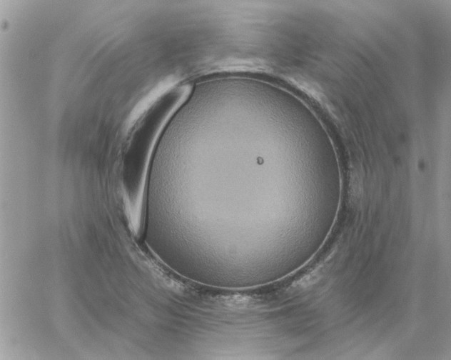 X0000061751317200512302227