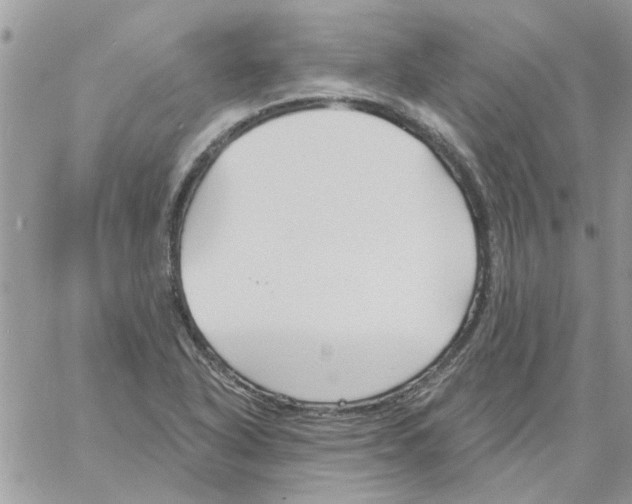 X0000061751318200512302227