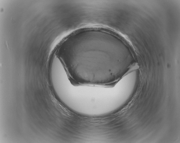 X0000061751319200512302227