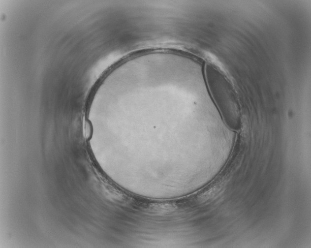 X0000061751320200512302227