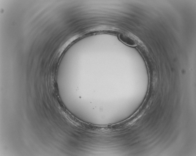 X0000061751321200512302227