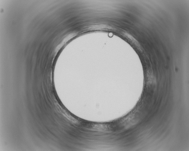 X0000061751322200512302227