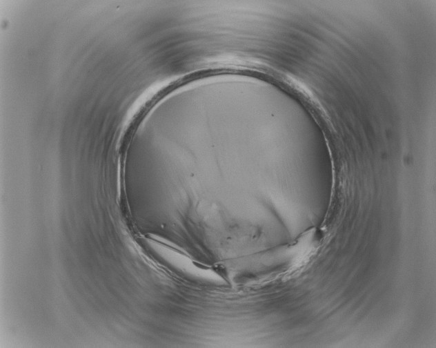 X0000061751323200512302227