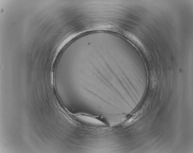 X0000061751324200512302227