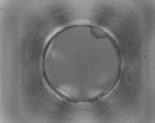 X0000061751325200512302227