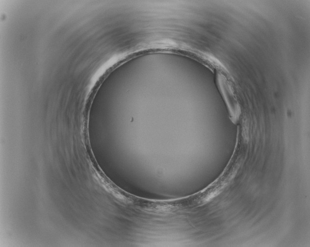 X0000061751326200512302227