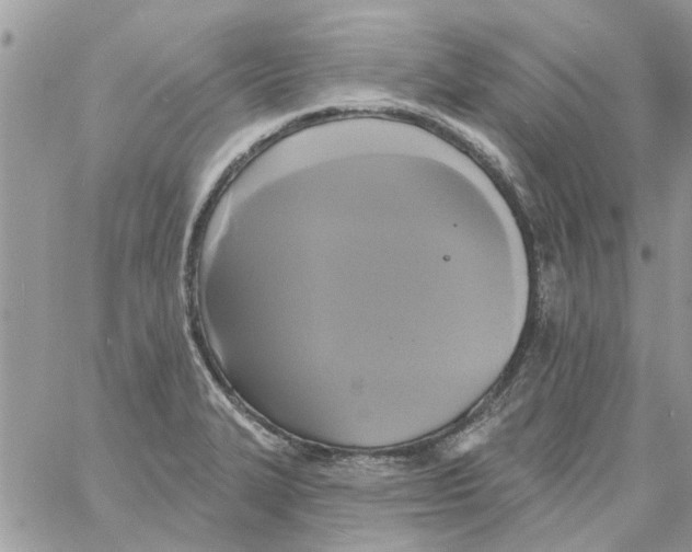 X0000061751327200512302227