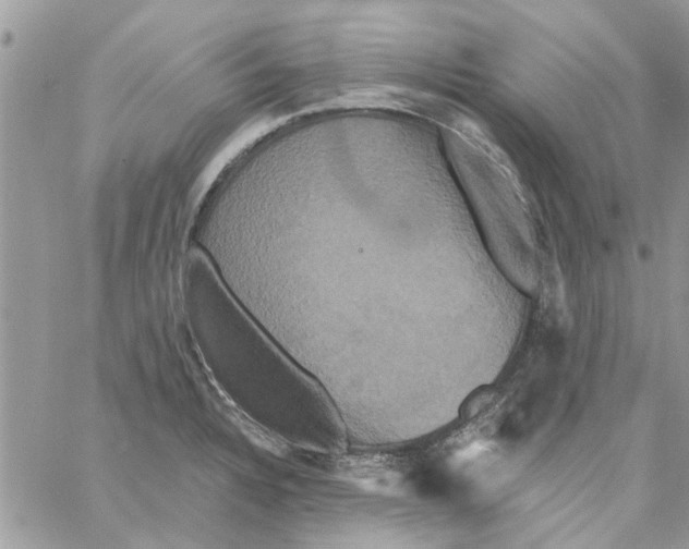 X0000061751328200512302227