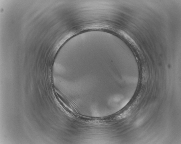 X0000061751329200512302227