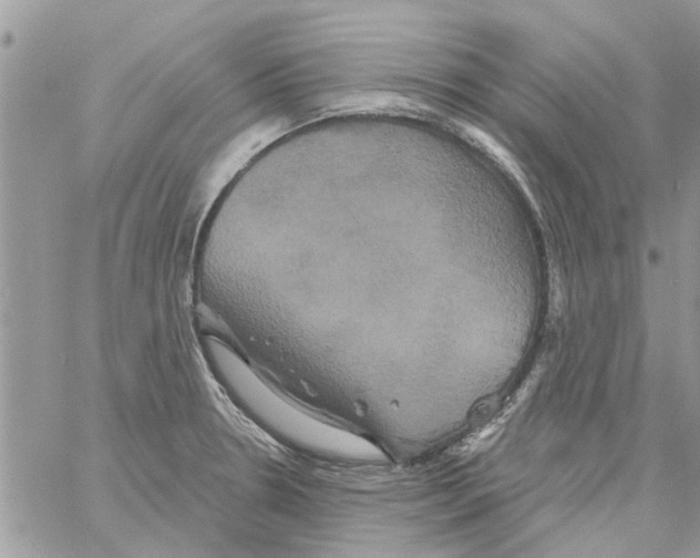 X0000061751330200512302227