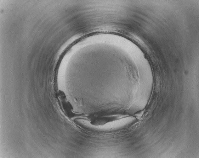 X0000061751331200512302227