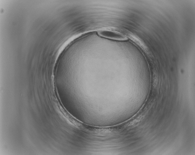 X0000061751332200512302227