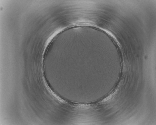 X0000061751333200512302227