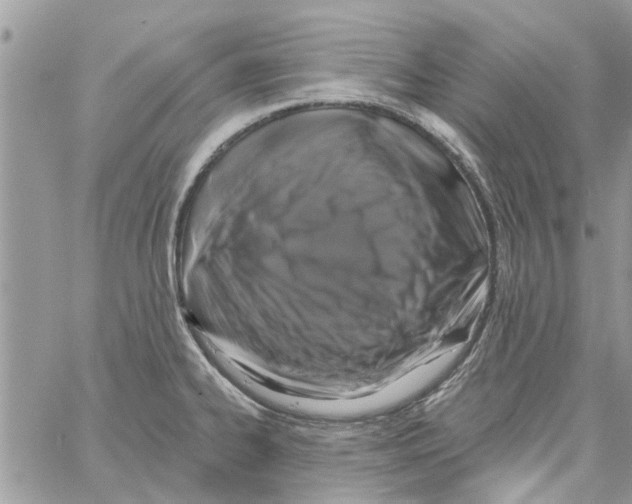 X0000061751334200512302227