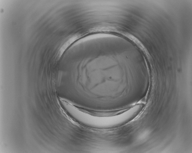 X0000061751337200512302227