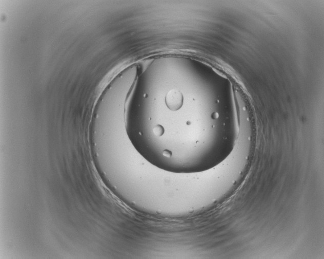 X0000061751338200512302227