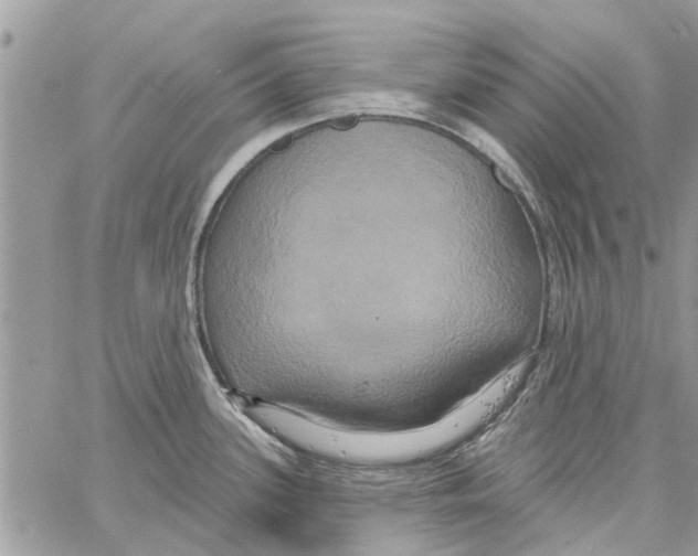 X0000061751339200512302228