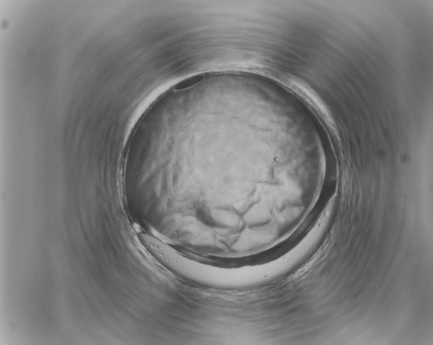 X0000061751340200512302228