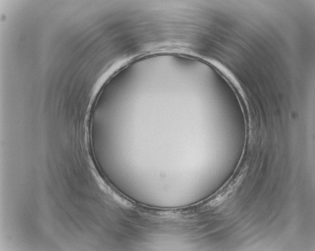 X0000061751341200512302228