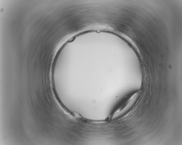 X0000061751343200512302228