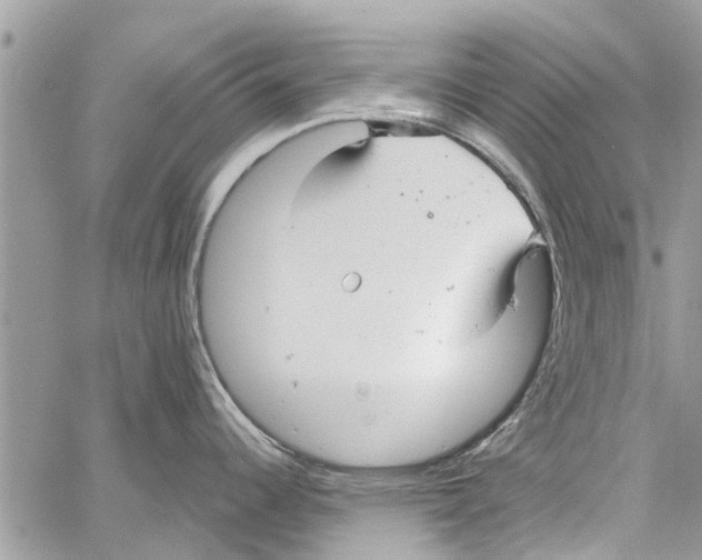 X0000061751344200512302228