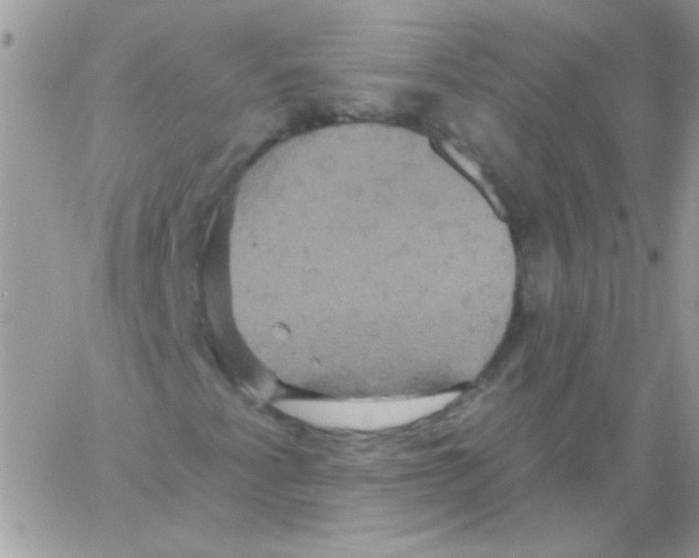 X0000061751345200512302227