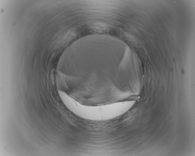 X0000061751346200512302227