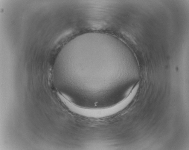 X0000061751349200512302227