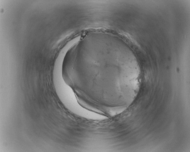 X0000061751350200512302227