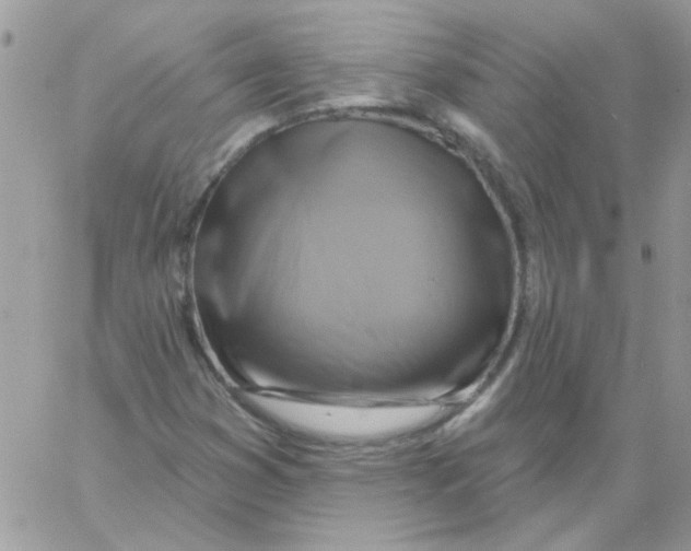 X0000061751353200512302227