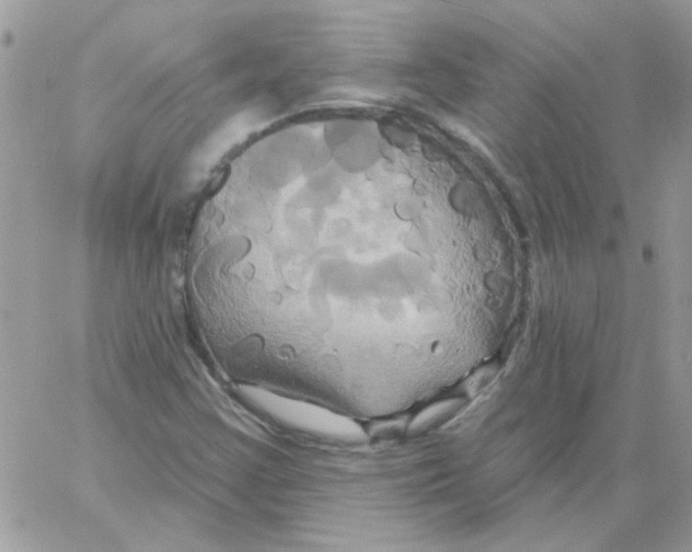 X0000061751355200512302227