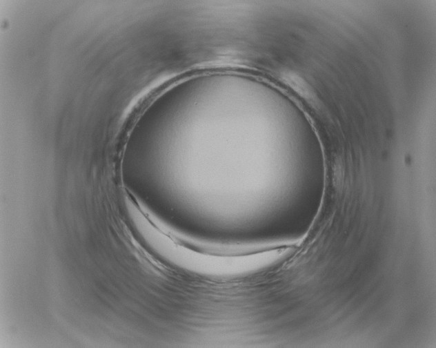 X0000061751356200512302227