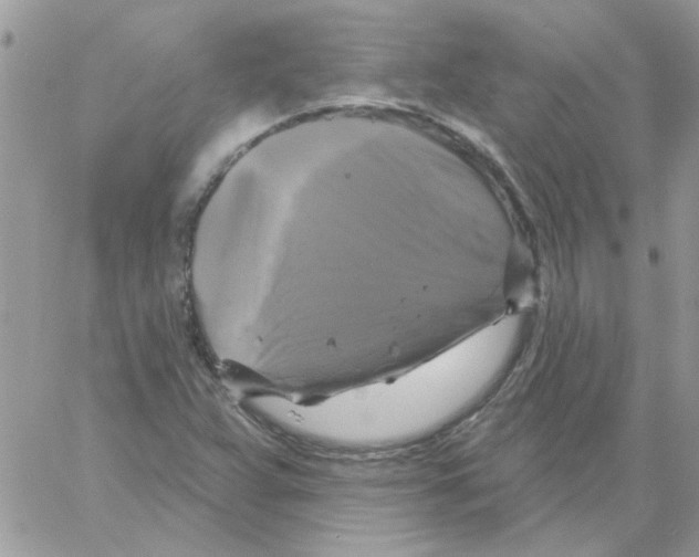 X0000061751359200512302227