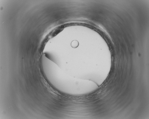 X0000061751360200512302227