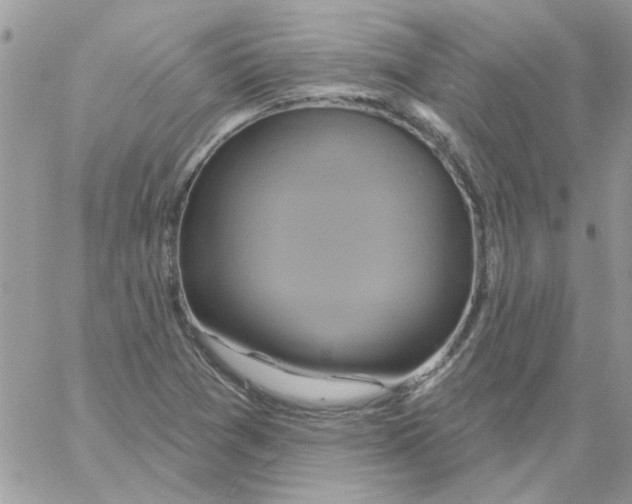 X0000061751361200512302227