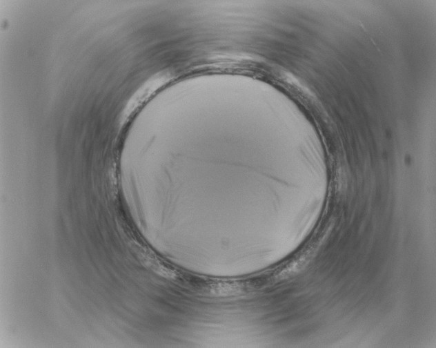 X0000061751362200512302226