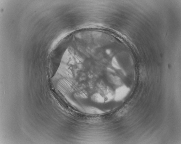 X0000061751363200512302226