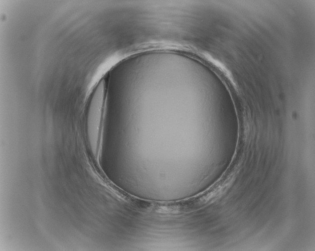 X0000061751365200512302226