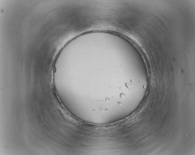 X0000061751366200512302226