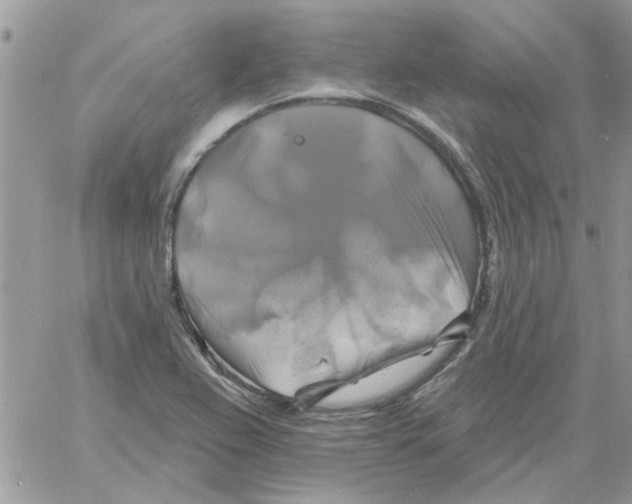 X0000061751367200512302226