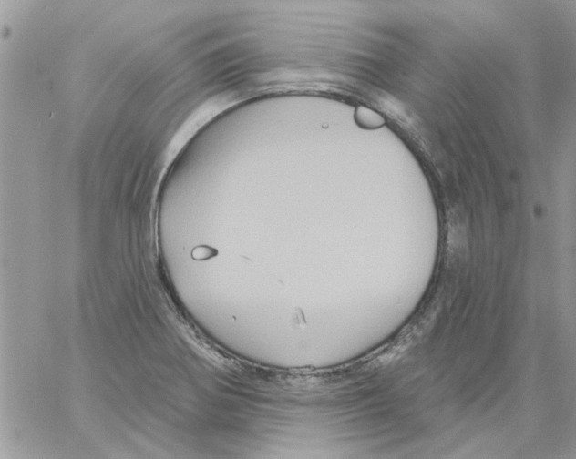 X0000061751370200512302226