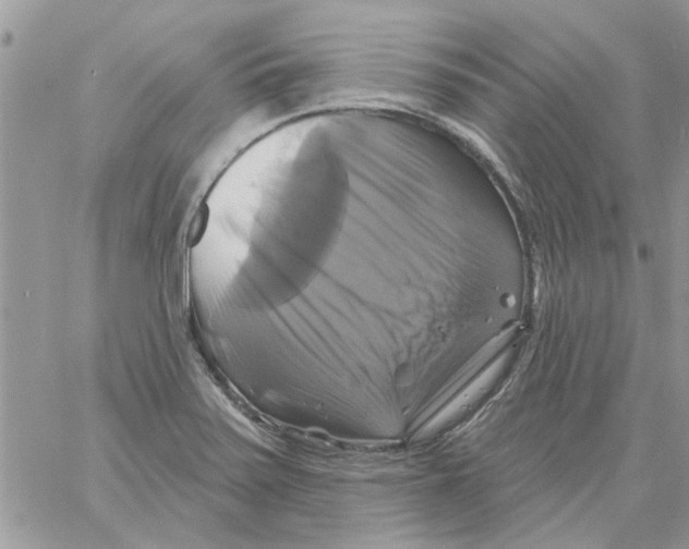 X0000061751371200512302226