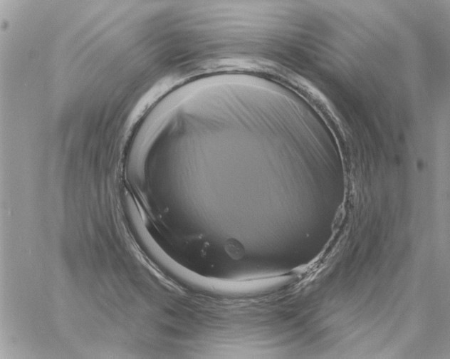 X0000061751373200512302226