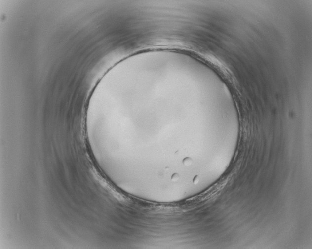 X0000061751374200512302226