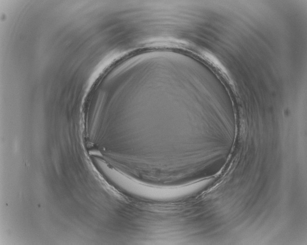 X0000061751376200512302226