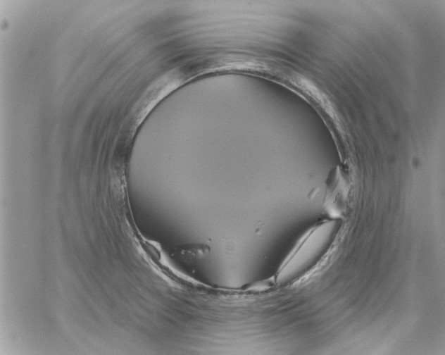 X0000061751377200512302226